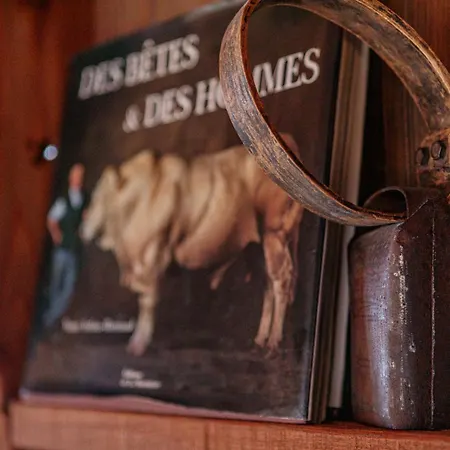 Apartman Le Des Vaches *